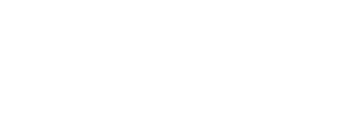 Seedforth Consulting Logo White