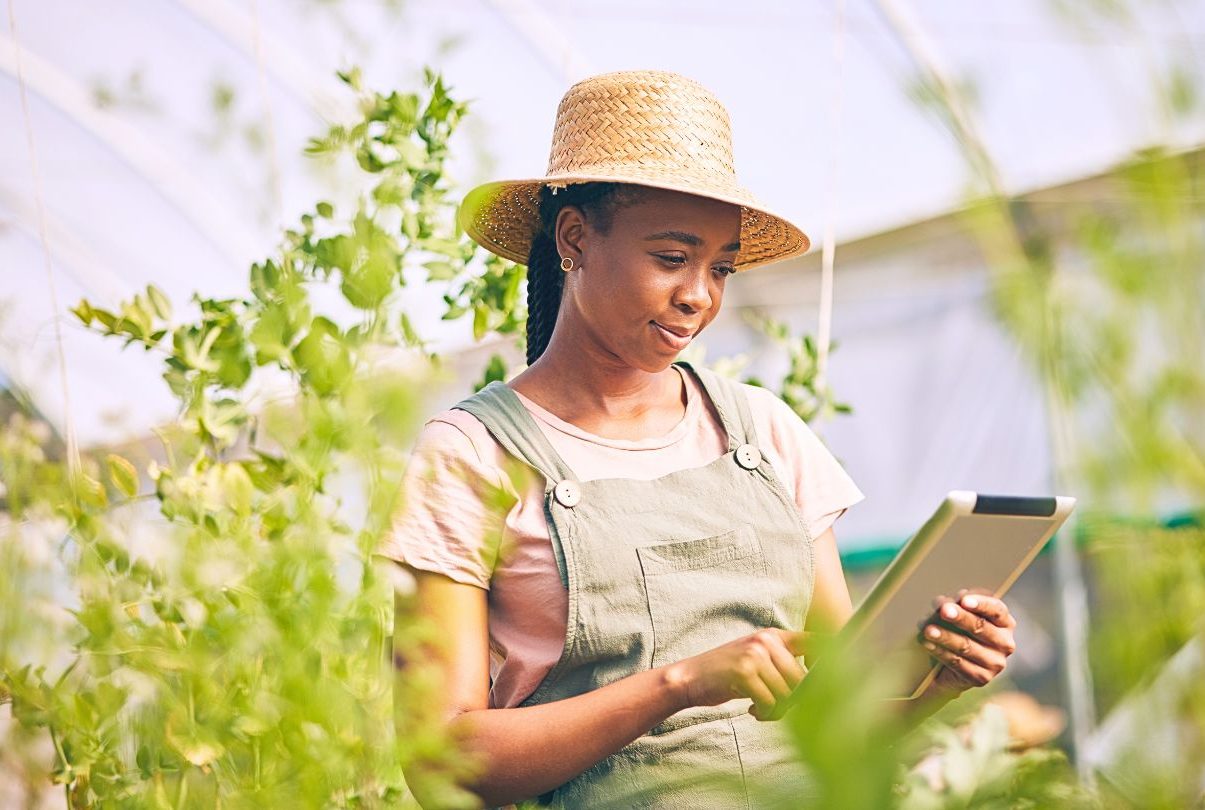 Agric worker checking info on a device