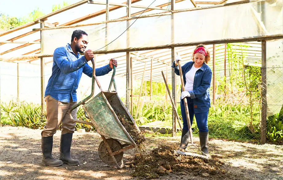 Workers setting up farm