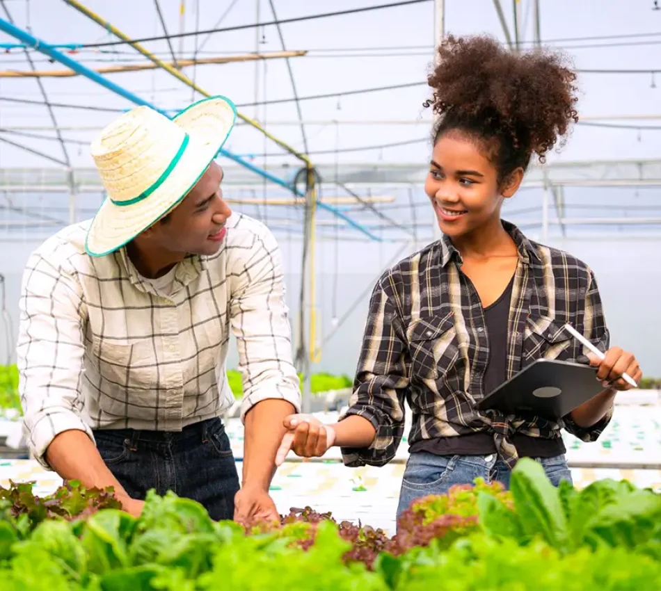 Training inside a greenhouse Training inside a greenhouse